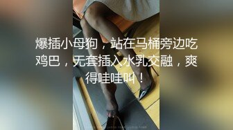 爆插小母狗，站在马桶旁边吃鸡巴，无套插入水乳交融，爽得哇哇叫！