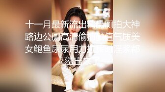 十一月最新流出精品厕拍大神路边公厕高清偷拍颜值气质美女鲍鱼尿尿用力拉屎时淫浆都溢出来了