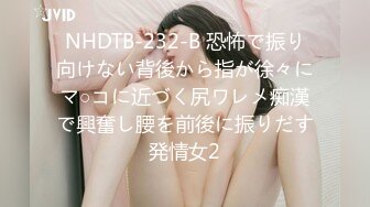 NHDTB-232-B 恐怖で振り向けない背後から指が徐々にマ○コに近づく尻ワレメ痴漢で興奮し腰を前後に振りだす発情女2