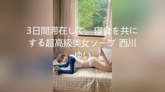 3日間滞在して、寝食を共にする超高級美女ソープ 西川ゆい