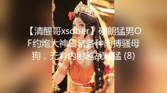 【清醒哥xsober】硬朗猛男OF约炮大神日常各种肉搏骚母狗，无套内射越战越猛 (8)