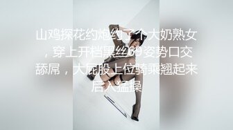 山鸡探花约炮约了个大奶熟女，穿上开档黑丝69姿势口交舔屌，大屁股上位骑乘翘起来后入猛操