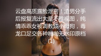 云盘高质露脸泄密！渣男分手后报复流出大量不雅视图，纯情乖乖女被调教成小母狗，毒龙口足交各种啪啪无水印原档 (1)